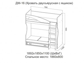 ДМ-16 Кровать двухъярусная с ящиком в Коркино - korkino.magazin-mebel74.ru | фото