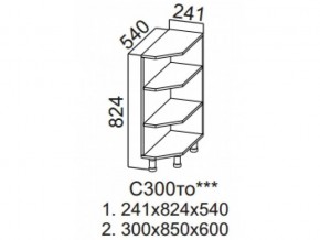 С300то Стол-рабочий 300 (торцевой открытый) в Коркино - korkino.magazin-mebel74.ru | фото