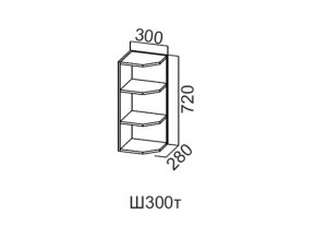 Ш300т/720 Шкаф навесной 300/720 (торцевой) в Коркино - korkino.magazin-mebel74.ru | фото